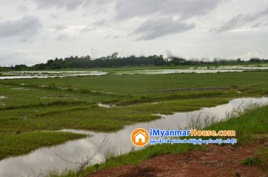 အစိုးရအကူးအေျပာင္းကာလ ေျမယာလဲႊေျပာင္းေပးမႈမ်ားအနက္ ေျမသံုးဧကေက်ာ္ကို ပထမဆုံးဂရန္ ပယ္ဖ်က္ - Property News in Myanmar from iMyanmarHouse.com