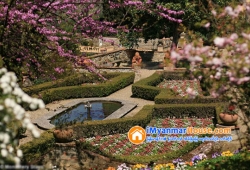 ေျမကြက္ အျမန္ ေရာင္းမည္