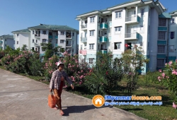 ေျမကြက္ အျမန္ ေရာင္းမည္