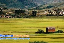 ေျမကြက္ အျမန္ ေရာင္းမည္