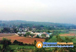 ေျမကြက္ အျမန္ ေရာင္းမည္