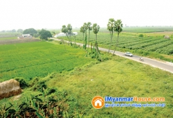 ေျမကြက္ အျမန္ ေရာင္းမည္