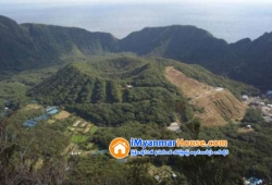 ေျမကြက္ အျမန္ ေရာင္းမည္