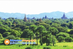 ေျမကြက္ အျမန္ ေရာင္းမည္