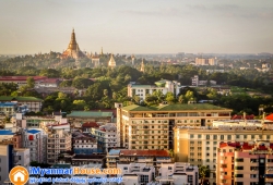 ေျမကြက္ အျမန္ ေရာင္းမည္