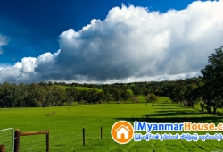 ေျမကြက္ အျမန္ ေရာင္းမည္
