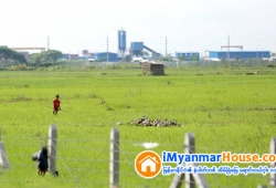 ေျမကြက္ အျမန္ ေရာင္းမည္
