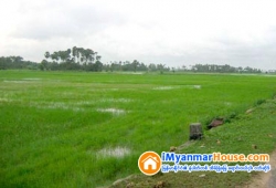 ေျမကြက္ အျမန္ ေရာင္းမည္