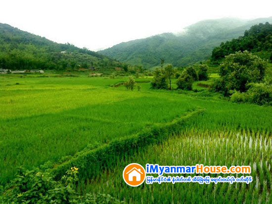 ဘိုးဘြာပိုင္ ယာေျမလည္း ေပါင္ရ၊ ေရာင္းရ - Property News in Myanmar from iMyanmarHouse.com