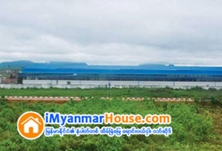 ေျမကြက္ အျမန္ ေရာင္းမည္