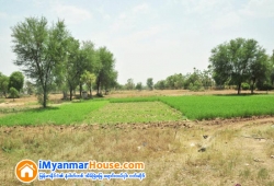 ေျမကြက္ အျမန္ ေရာင္းမည္