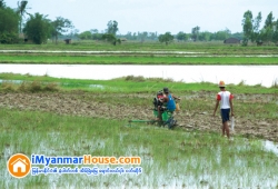 ေျမကြက္ အျမန္ ေရာင္းမည္