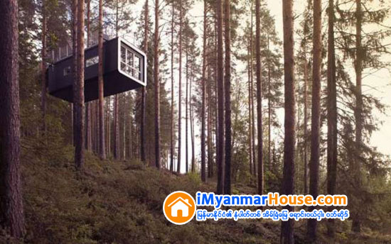 ကမၻာ့အေကာင္းဆံုး Tree House ဟိုတယ္ (၁၀) ခု - Property News in Myanmar from iMyanmarHouse.com