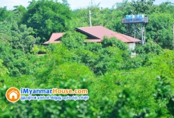 ေျမကြက္ အျမန္ ေရာင္းမည္