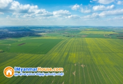 ေျမကြက္ အျမန္ ေရာင္းမည္
