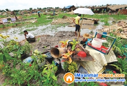 ေျမကြက္ အျမန္ ေရာင္းမည္