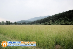 ေျမကြက္ အျမန္ ေရာင္းမည္