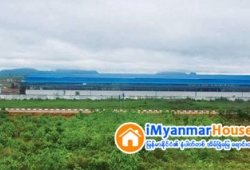 ေျမကြက္ အျမန္ ေရာင္းမည္