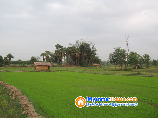 သတိျပဳ၀ယ္ယူသင့္သည့္ ပါမစ္ေျမမ်ား - Property Knowledge in Myanmar from iMyanmarHouse.com