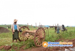 ေျမကြက္ အျမန္ ေရာင္းမည္