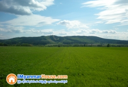 ေျမကြက္ အျမန္ ေရာင္းမည္