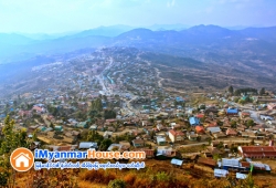 ေျမကြက္ အျမန္ ေရာင္းမည္