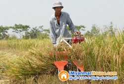ေျမကြက္ အျမန္ ေရာင္းမည္