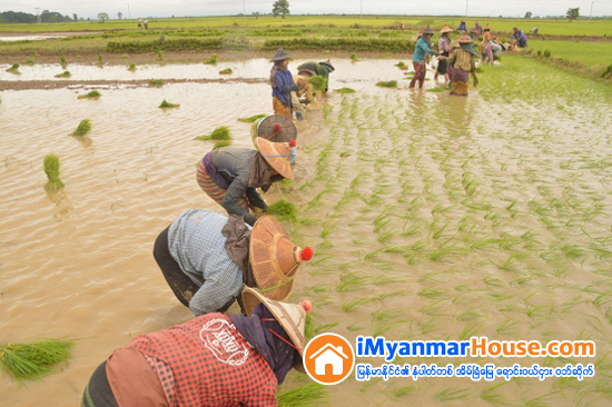 ရင္းႏွီးျမႇဳပ္ႏွံမႈမ်ား ၀င္ေရာက္လာရန္ ရင္းႏွီးျမႇဳပ္ႏွံမႈႏွင့္ စီးပြားေရး လုပ္ငန္းမ်ားအေပၚ ဆန္းစစ္တြက္ခ်က္မႈမ်ား ေလးလအတြင္း အၿပီးေဆာင္ရြက္ၿပီး MIC သို႔ တင္ျပမည္ - Property News in Myanmar from iMyanmarHouse.com