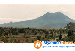 ေျမကြက္ အျမန္ ေရာင္းမည္