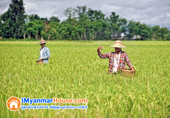 လယ္ယာေျမကို အျခားနည္း အသံုးျပဳလိုသူမ်ား ဝမ္းေျမာက္ဖြယ္သတင္း - Property News in Myanmar from iMyanmarHouse.com