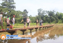 ေျမကြက္ အျမန္ ေရာင္းမည္