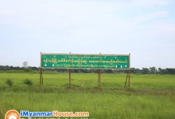 ေျမကြက္ အျမန္ ေရာင္းမည္