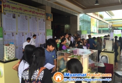 ေျမကြက္ အျမန္ ေရာင္းမည္