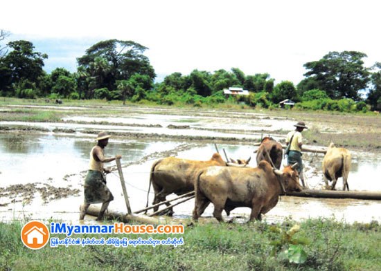 ၂၀၁၂ ခုႏွစ္ လယ္ယာေျမဥပေဒကို ရာခိုင္ႏွုန္း ၈၀ အထိျပင္ဆင္ရန္လိုဟုဆို - Property News in Myanmar from iMyanmarHouse.com