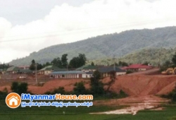 ေျမကြက္ အျမန္ ေရာင္းမည္