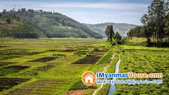 လယ္ယာေျမကို အျခားနည္းအသံုးျပဳျခင္း - Property Knowledge in Myanmar from iMyanmarHouse.com