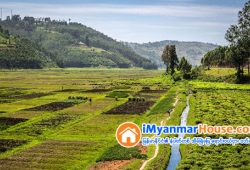 ေျမကြက္ အျမန္ ေရာင္းမည္