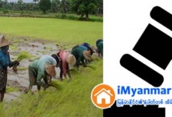 ေျမကြက္ အျမန္ ေရာင္းမည္