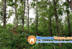 ေျမကြက္ အျမန္ ေရာင္းမည္