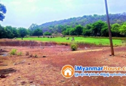 ေျမကြက္ အျမန္ ေရာင္းမည္