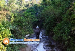 ေျမကြက္ အျမန္ ေရာင္းမည္