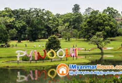 ေျမကြက္ အျမန္ ေရာင္းမည္
