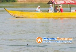 ေျမကြက္ အျမန္ ေရာင္းမည္