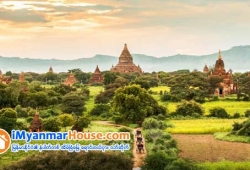 ေျမကြက္ အျမန္ ေရာင္းမည္
