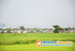 ေျမကြက္ အျမန္ ေရာင္းမည္