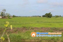 ေျမကြက္ အျမန္ ေရာင္းမည္