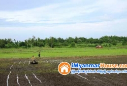 ေျမကြက္ အျမန္ ေရာင္းမည္