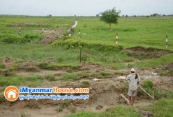 ေျမကြက္ အျမန္ ေရာင္းမည္
