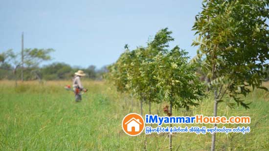 လယ္ယာေျမ ျပႆနာ ဘယ္လုိေျဖရွင္းေပးရမွာ - Property Knowledge in Myanmar from iMyanmarHouse.com