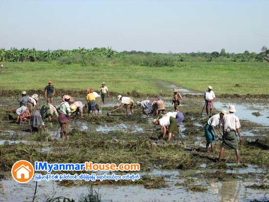 လယ္ယာေျမမ်ားထဲမွ ေျမႀကီး၊ ေျမသားမ်ားကို တူးေဖာ္ေရာင္းခ်ျခင္းမ်ားကို အေရးယူမည္ - Property News in Myanmar from iMyanmarHouse.com